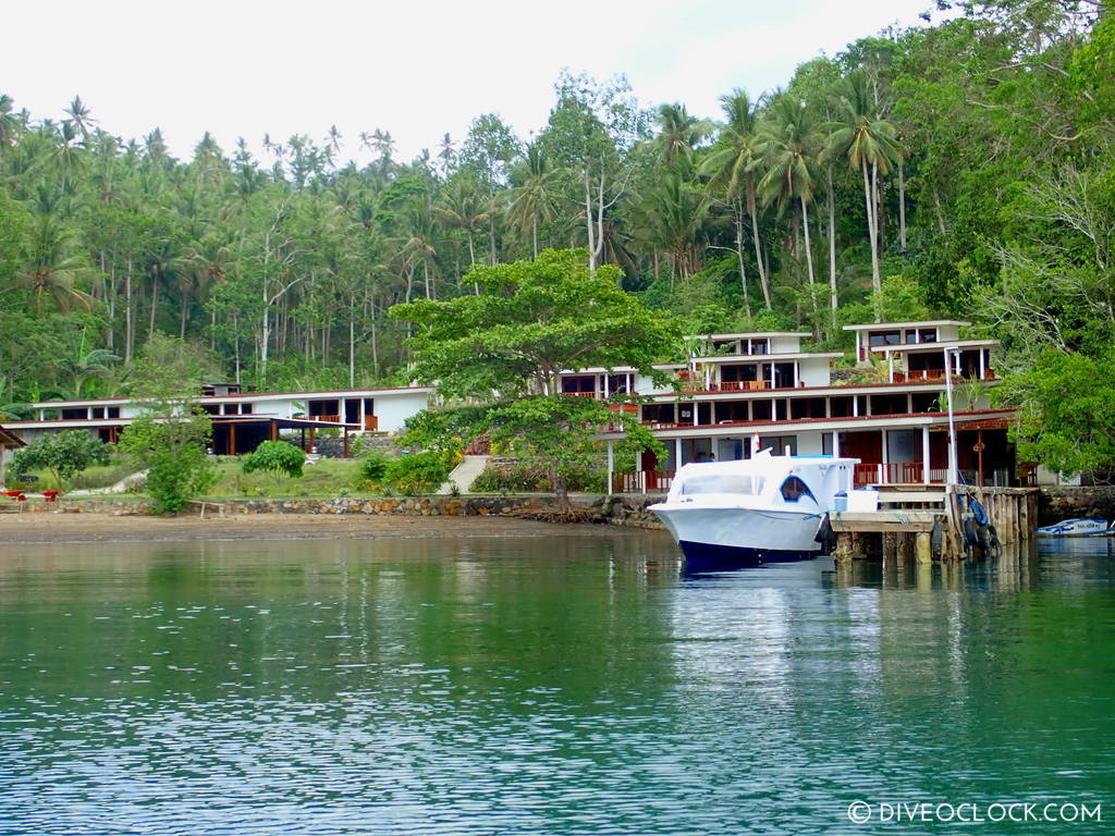 north sulawesi scuba diving