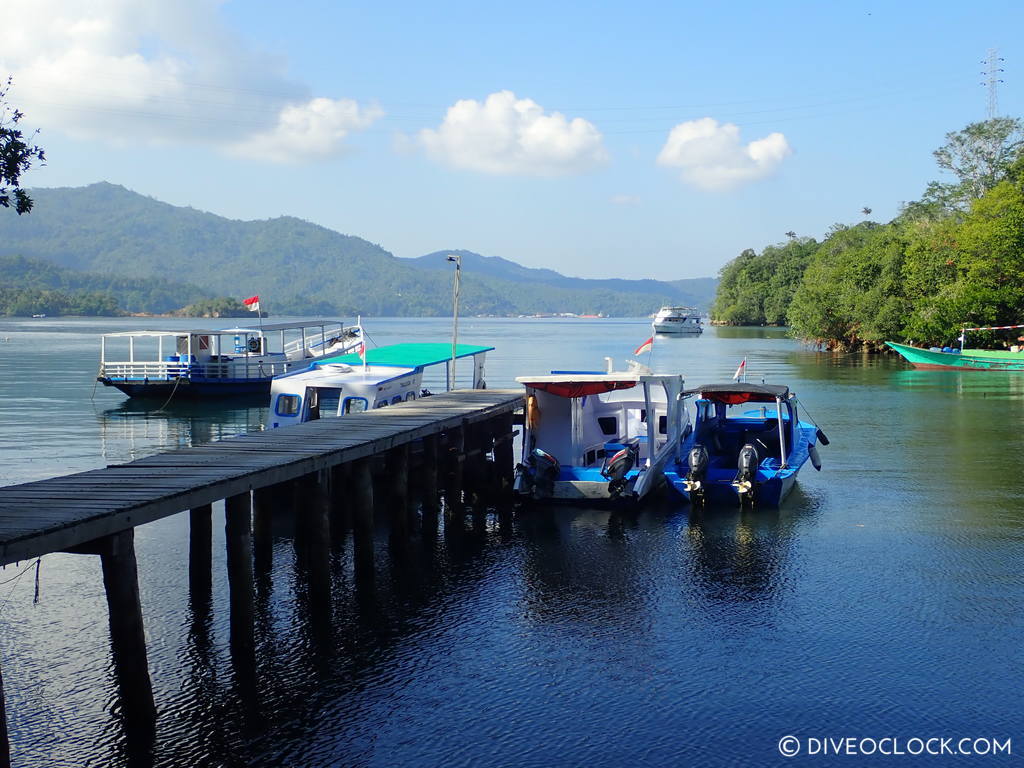 north sulawesi scuba diving