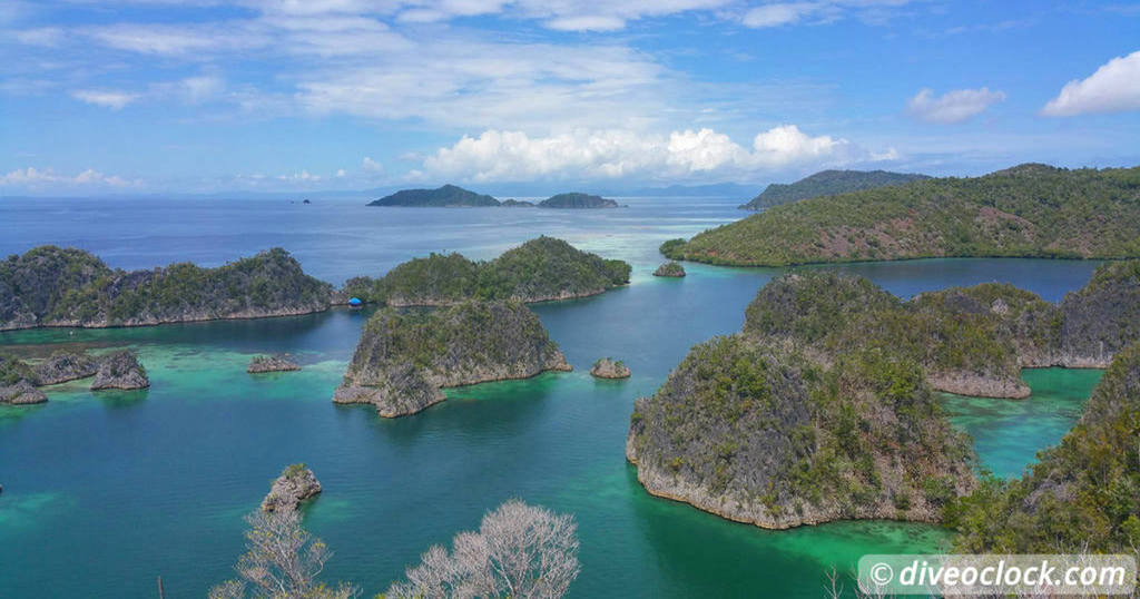 Bligh Water Fiji The Soft Coral Capital of the World   Asia Indonesia Papua Raja Ampat 