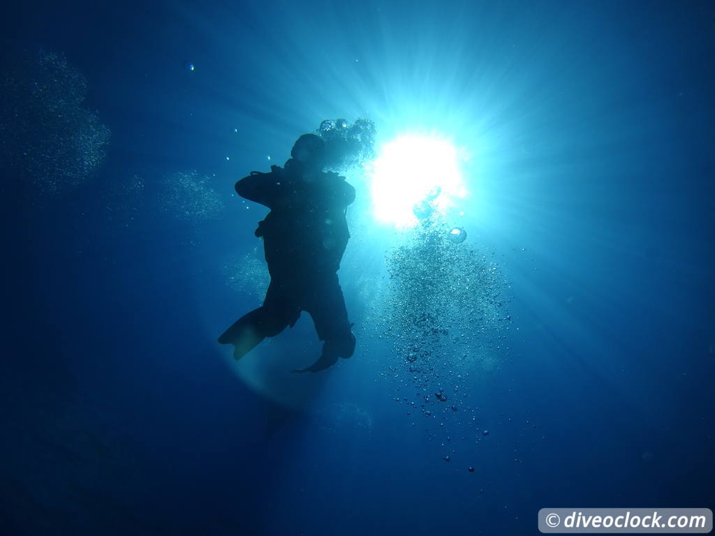 Raja Ampat World Class Diving in Papua Indonesia  Chicken Reef Raja Ampat 1