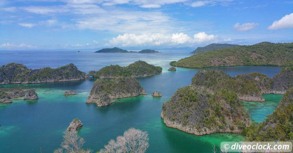 Raja Ampat World Class Diving in Papua Indonesia 