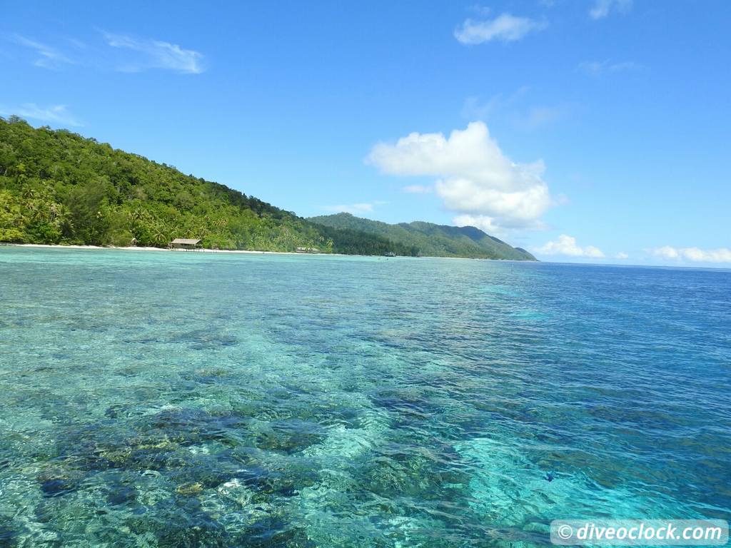 Raja Ampat World Class Diving in Papua Indonesia  Kri