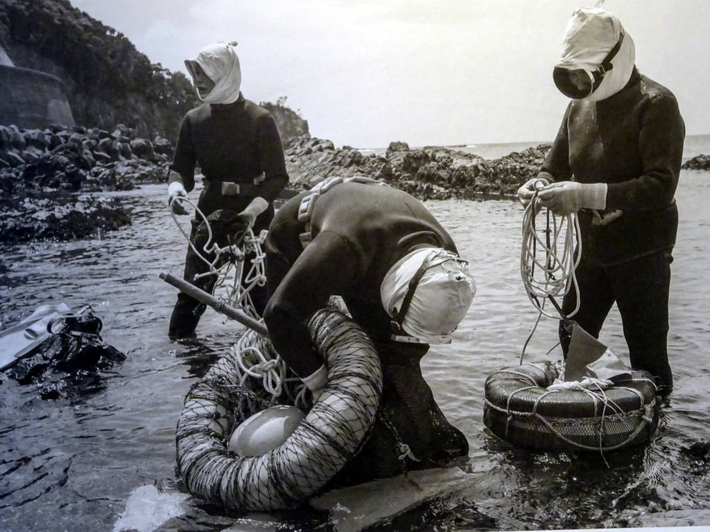 ama_women_divers_japan_diveoclock