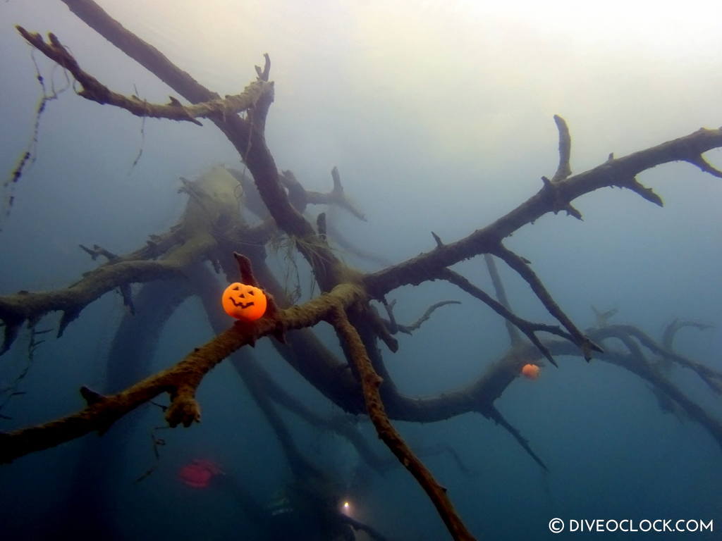 mount fuji lake diving Japan dive o'clock