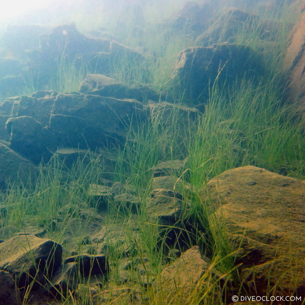 mount fuji lake diving Japan dive o'clock