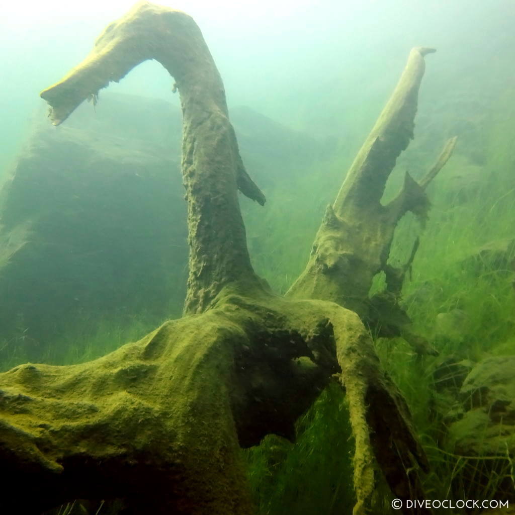 mount fuji lake diving Japan dive o'clock