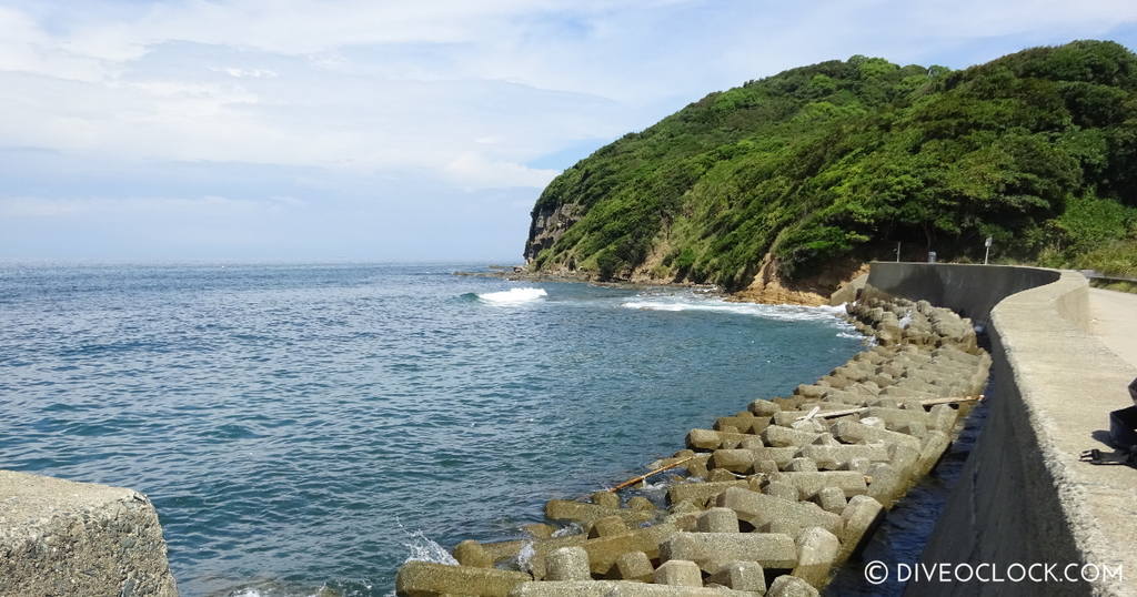 Izu Oceanic Park Tips For Relaxed Diving at This Awesome Spot in Japan  Asia Japan Fukuoka