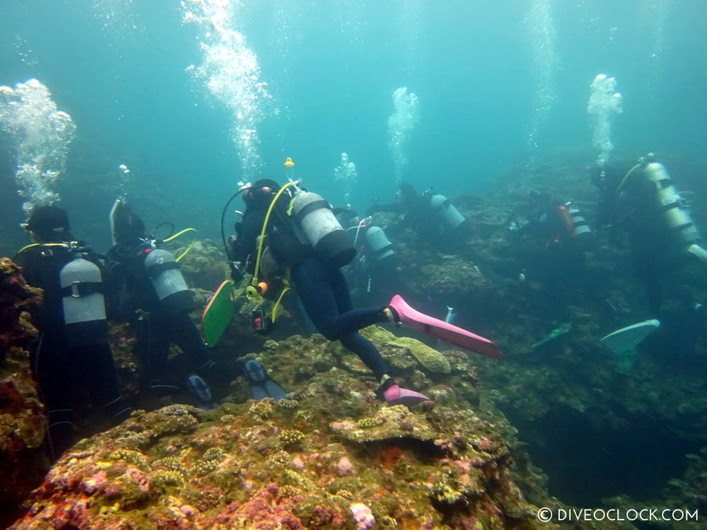 ishigaki_okinawa_scuba_diving_manta_rays_japan_diveoclock