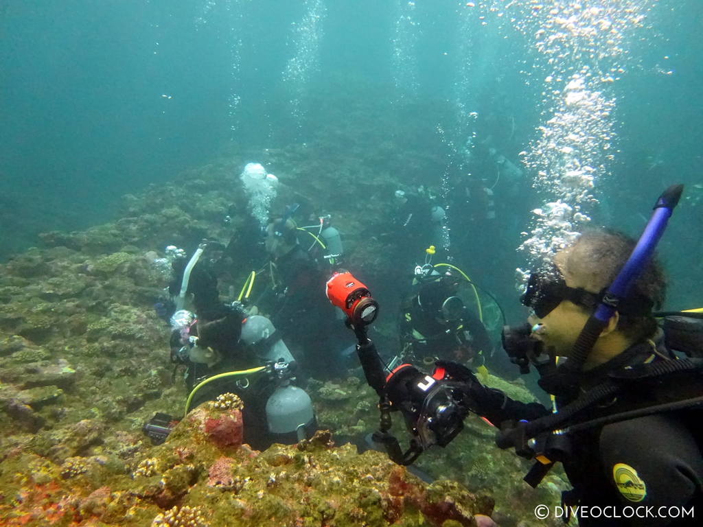 ishigaki_okinawa_scuba_diving_manta_rays_japan_diveoclock