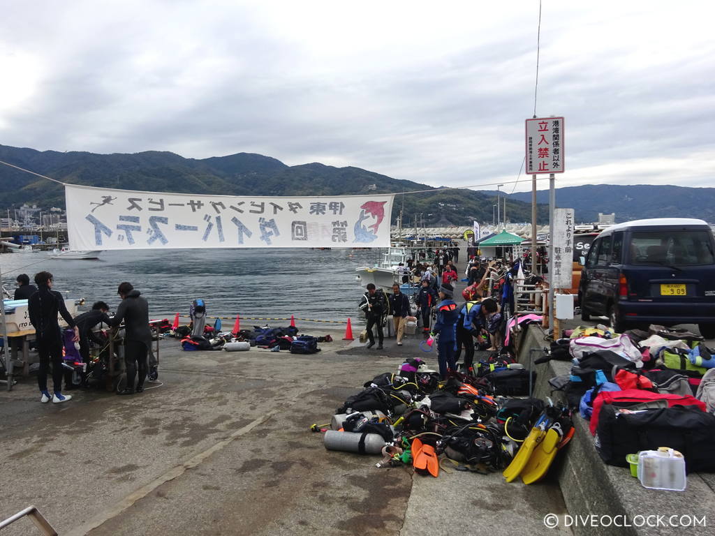 izu ocean park scuba diving Japan dive o'clock