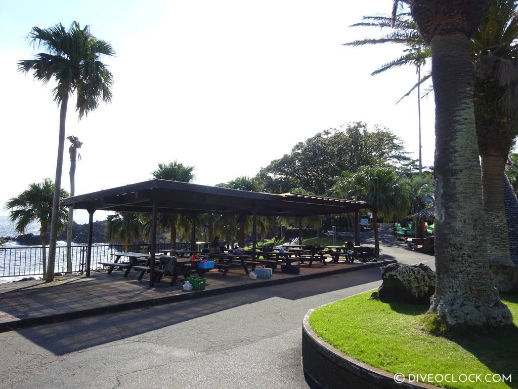 izu ocean park scuba diving Japan dive o'clock