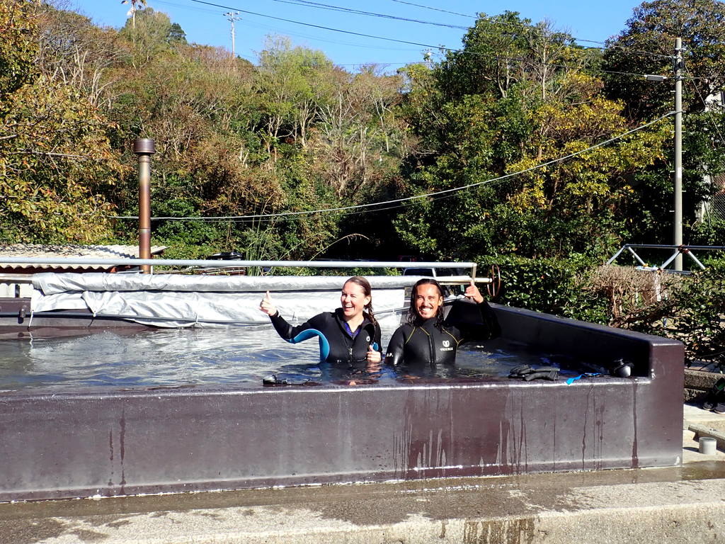 izu ocean park scuba diving Japan dive o'clock