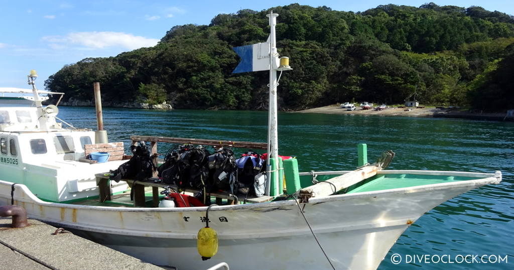 Ishigaki SCUBA Diving with Manta Rays Okinawa Japan  Asia Japan Shikoku