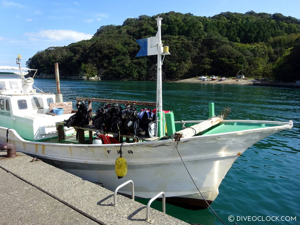 shikoku_scuba_diving_japan_diveoclock