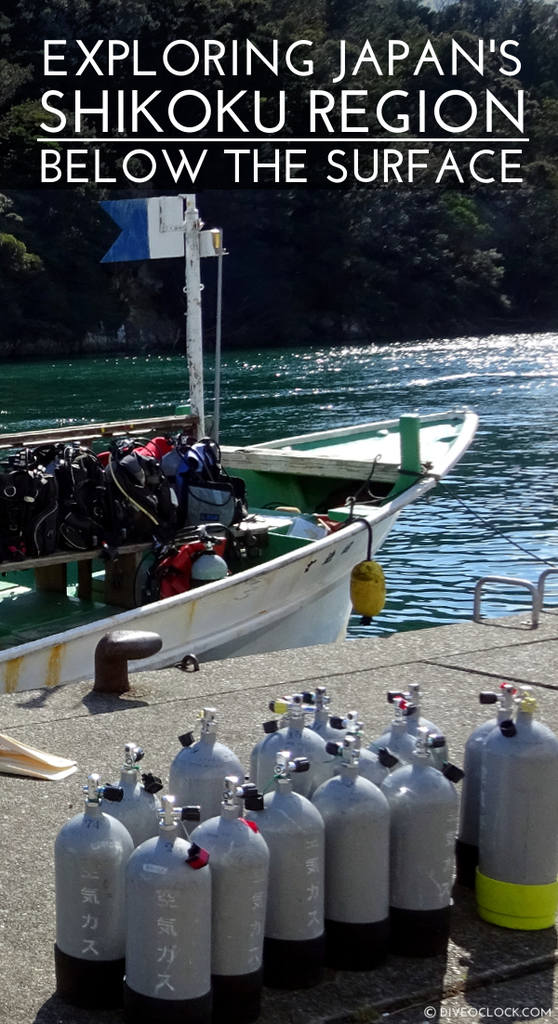 Exploring Japan's Shikoku Region Below The Surface