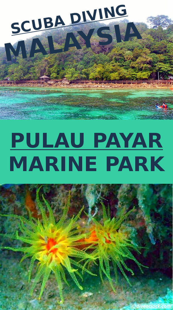 Pulau Payar Marine Park - A Humiliating Day of Diving in Malaysia