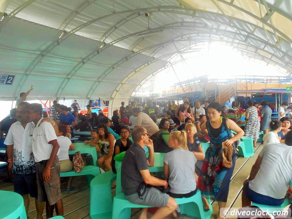 Pulau Payar Marine Park A Humiliating Day of Diving in Malaysia Pulau Payar Malaysia Diveoclock 13