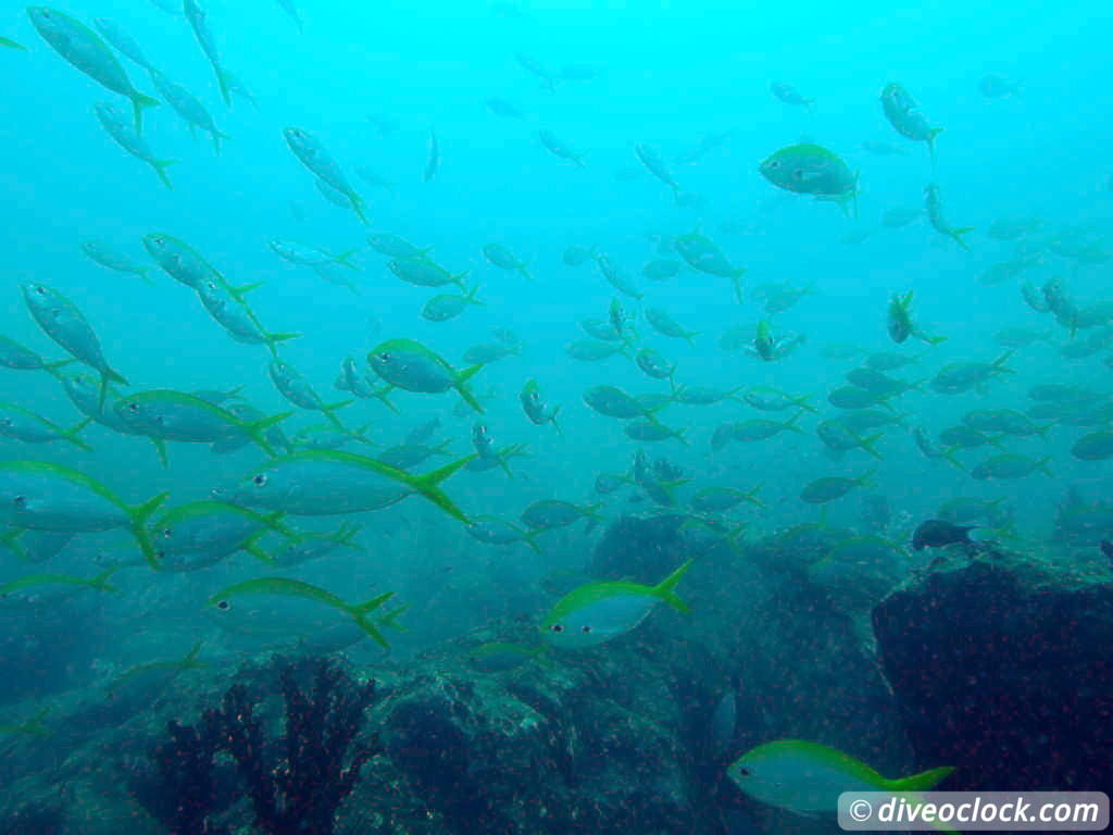 Pulau Payar Marine Park A Humiliating Day of Diving in Malaysia Pulau Payar Malaysia Diveoclock 18