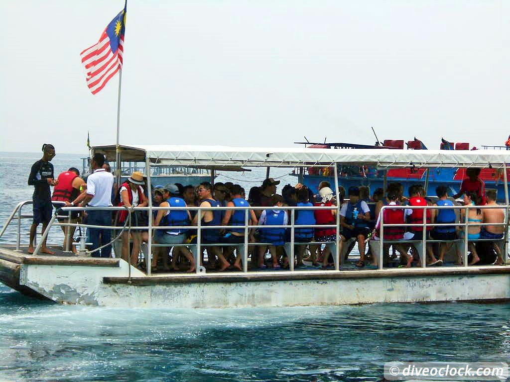 Pulau Payar Marine Park A Humiliating Day of Diving in Malaysia Pulau Payar Malaysia Diveoclock 44