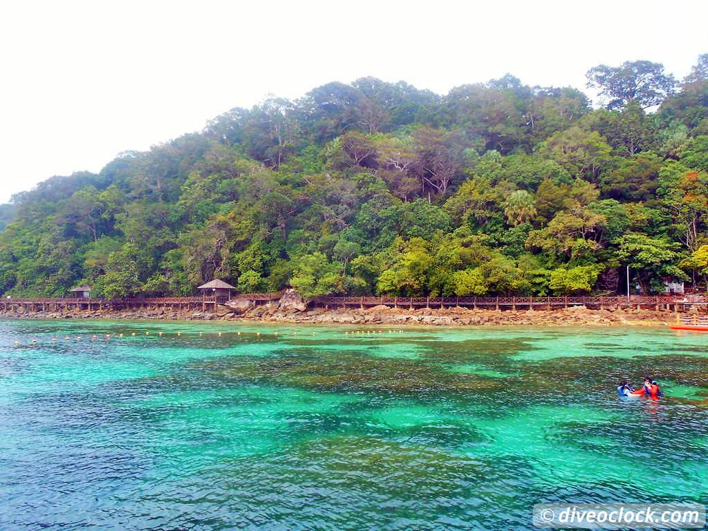 Pulau Payar Marine Park A Humiliating Day of Diving in Malaysia Pulau Payar Malaysia Diveoclock 45