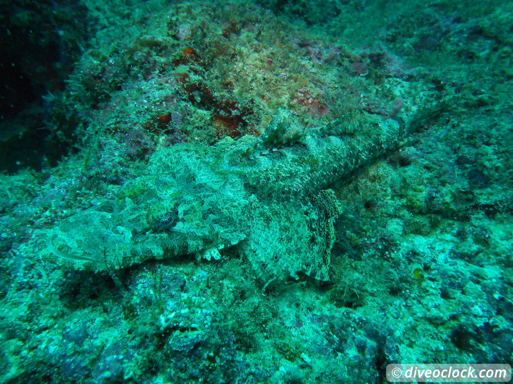 Sipadan World Class SCUBA Diving in Malaysian Borneo  Sipadan Diveoclock 12