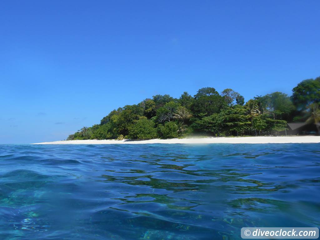 Sipadan World Class SCUBA Diving in Malaysian Borneo  Sipadan Diveoclock 29