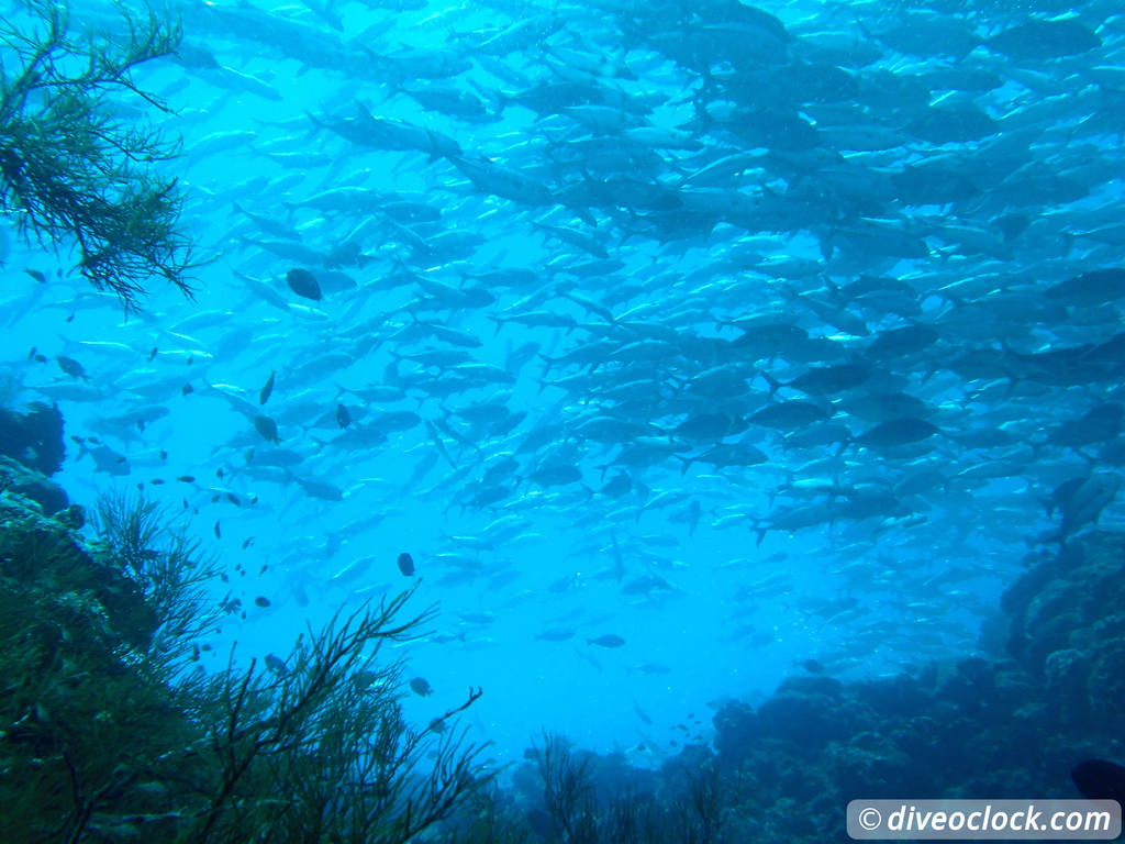 Sipadan World Class SCUBA Diving in Malaysian Borneo  Sipadan Diveoclock 30