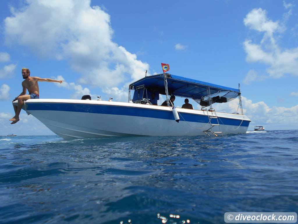 Sipadan World Class SCUBA Diving in Malaysian Borneo  Sipadan Diveoclock 43