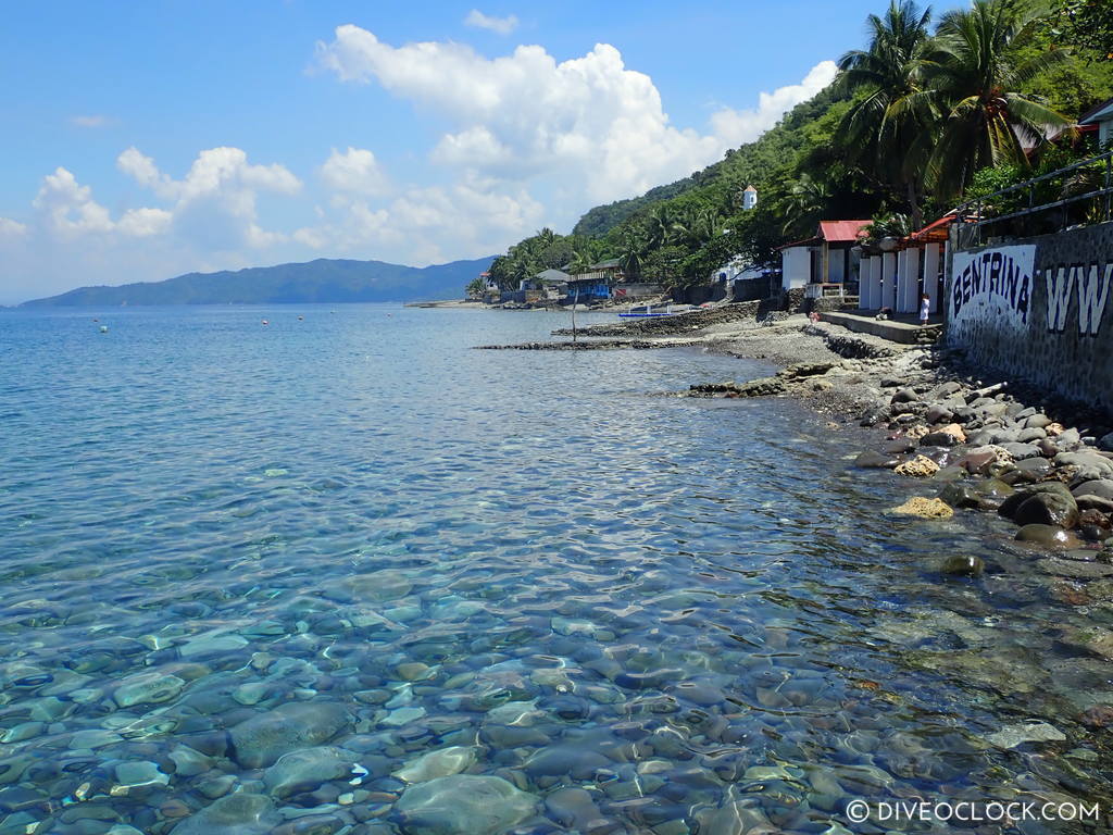 diveoclock-bentrina_dive_resort_anilao_philippines-3.jpg