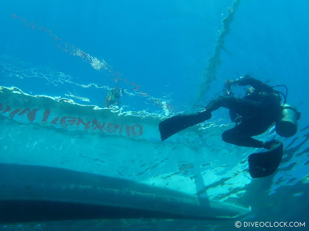 scuba-diving-anilao_philippines_diveoclock-63.jpg