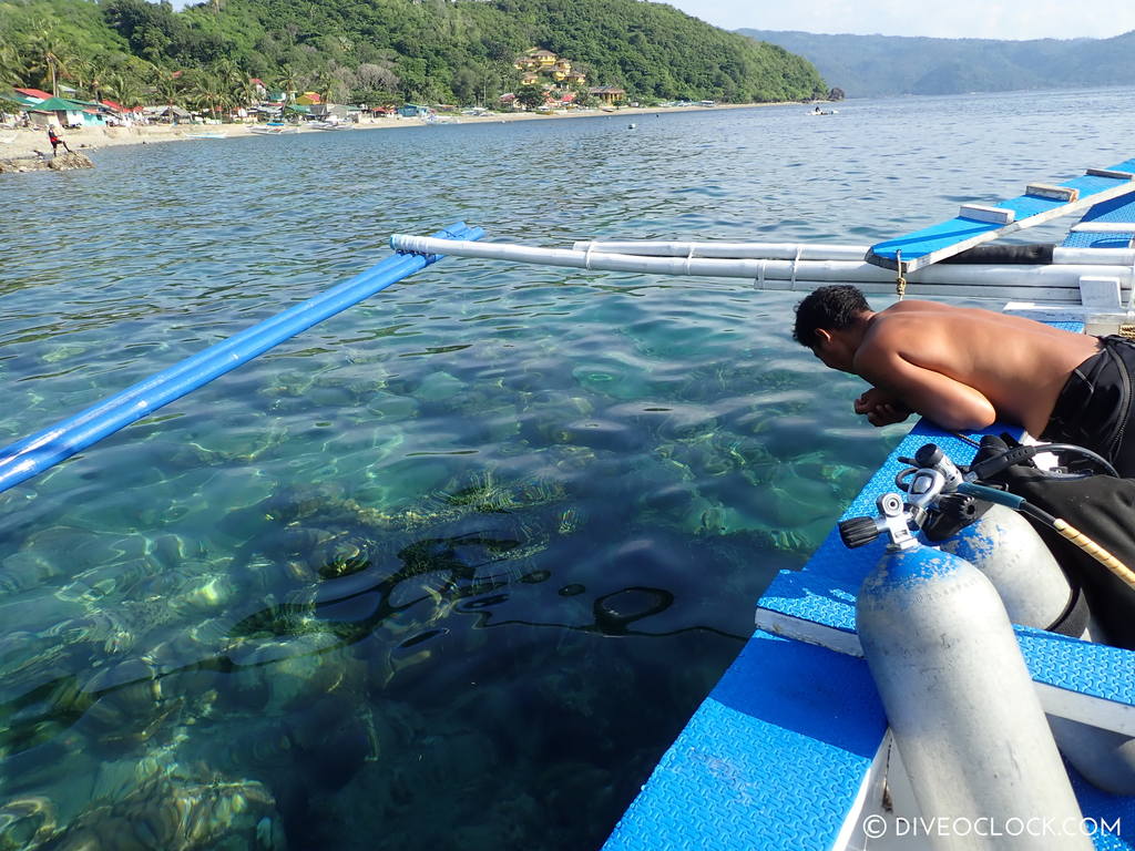 scuba-diving-anilao_philippines_diveoclock-73.jpg