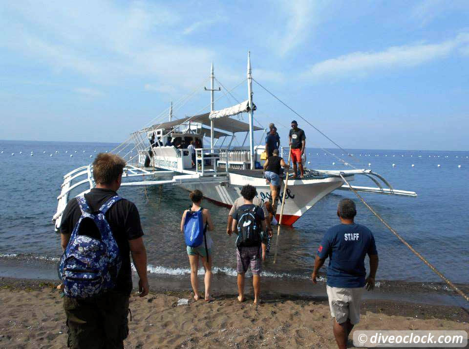 Dauin Awesome Muck Diving and Exploring Apo Island Philippines  Dauin Apo Island Philippines Diveoclock 2