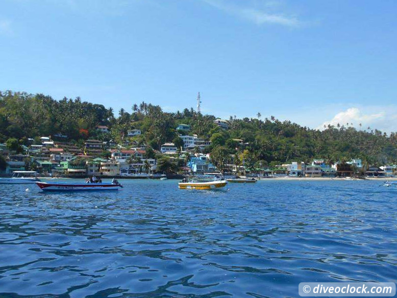 Puerto Galera Stunning Dives at Verde Island Philippines  Puerto Galera Philippines Diveoclock 16