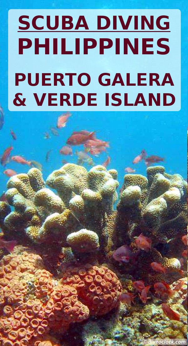 Puerto Galera - Stunning Dives at Verde Island (Philippines)