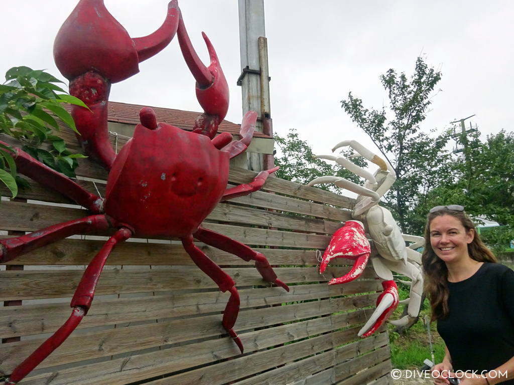 terra_crab_farm_sokcho_south_korea_diveoclock