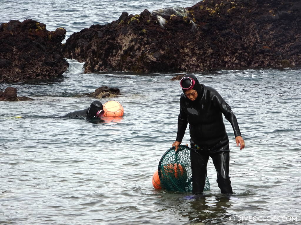 haenyeo_jeju_women_divers_south_korea_diveoclock