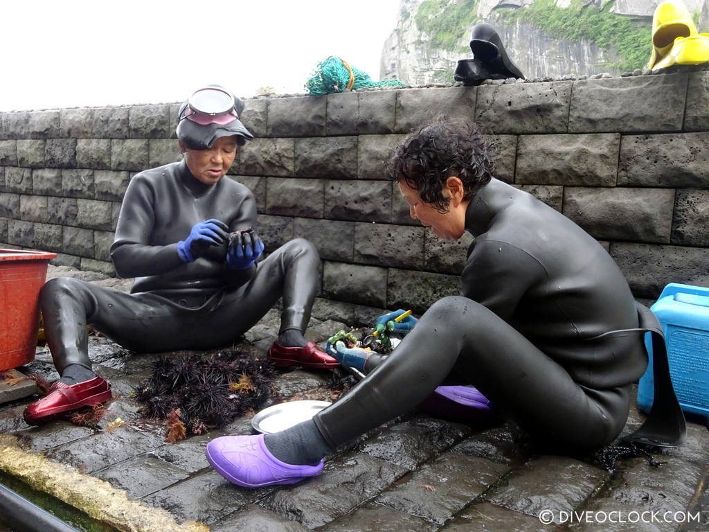 haenyeo_jeju_women_divers_south_korea_diveoclock