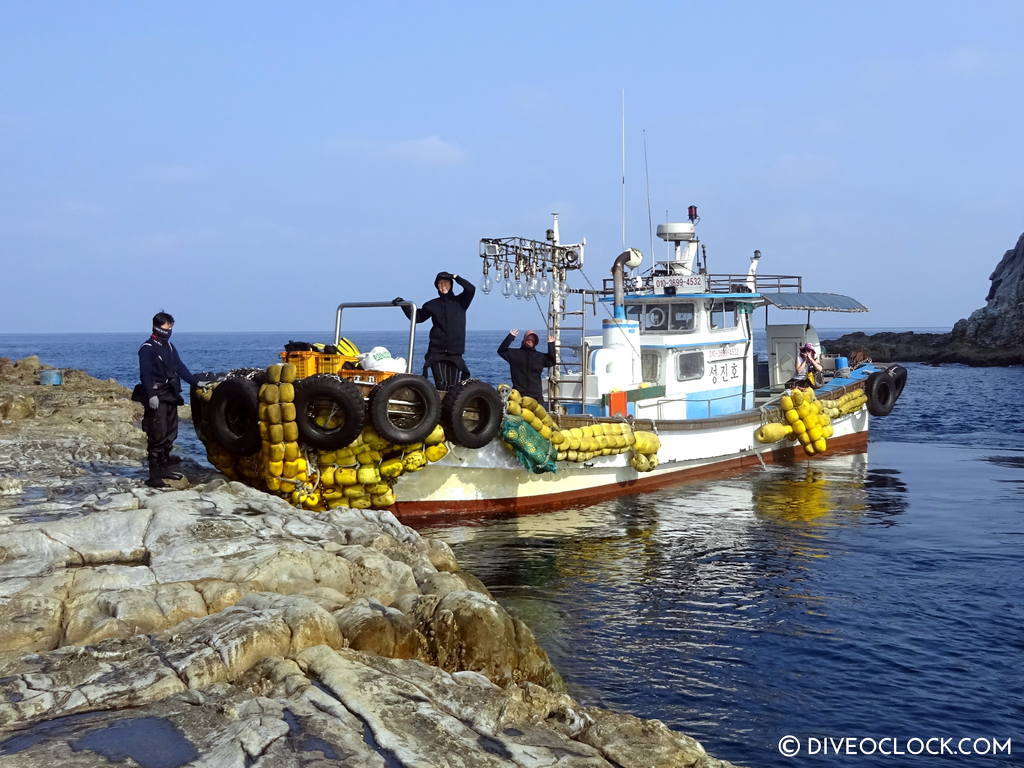 scuba_diving_jeju_munsum_south_korea_diveoclock