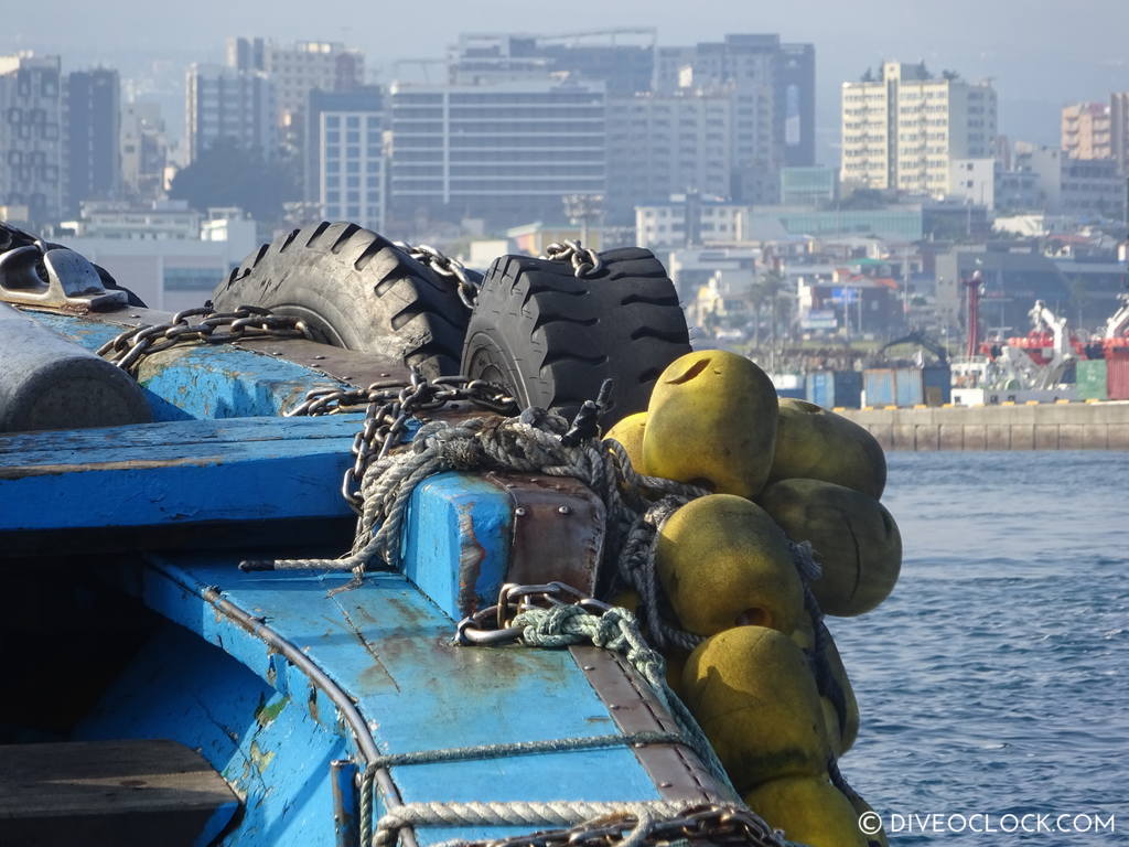 scuba_diving_jeju_munsum_south_korea_diveoclock