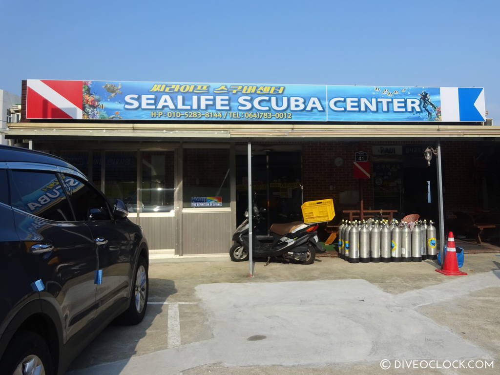 scuba_diving_jeju_munsum_south_korea_diveoclock