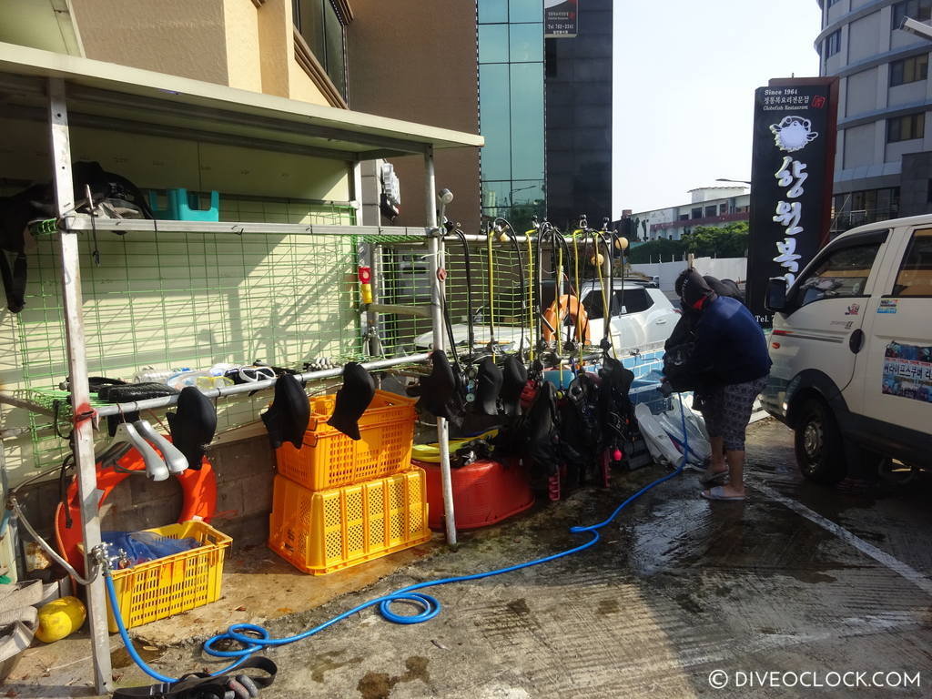 scuba_diving_jeju_munsum_south_korea_diveoclock