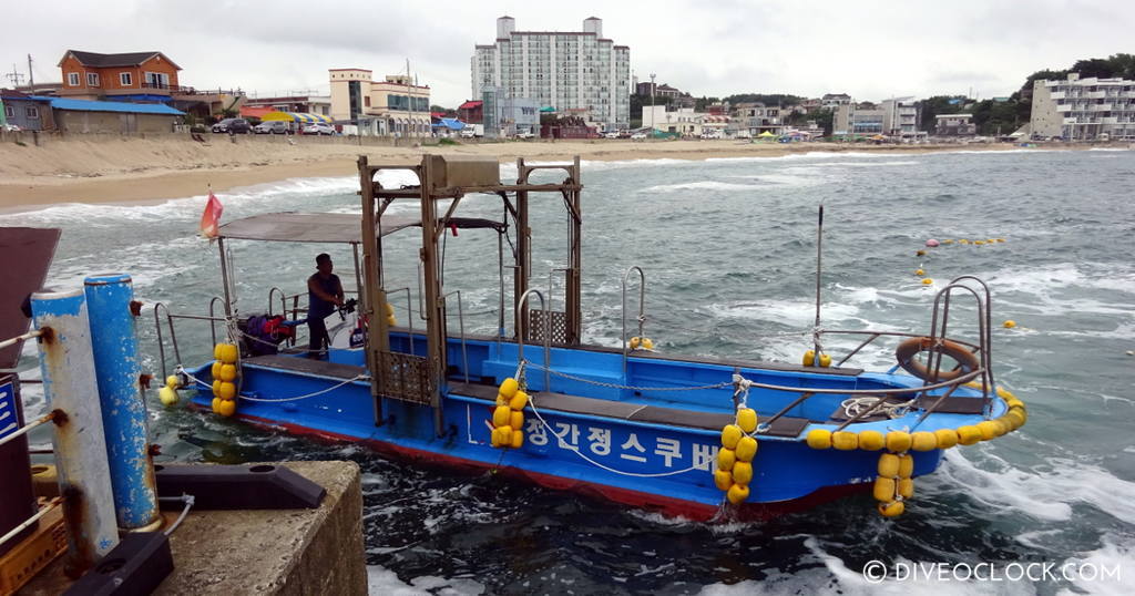 Jeju Island The Best Diving of South Korea   Asia South Korea Sokcho 