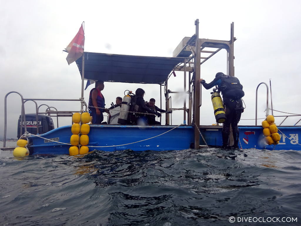 sokcho_scuba_diving_south_korea_diveoclock