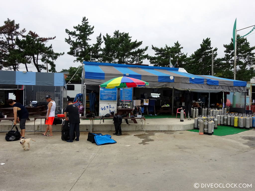 sokcho_scuba_diving_south_korea_diveoclock