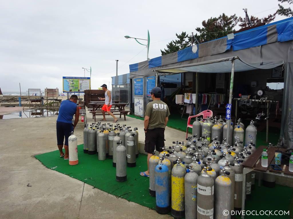 sokcho_scuba_diving_south_korea_diveoclock