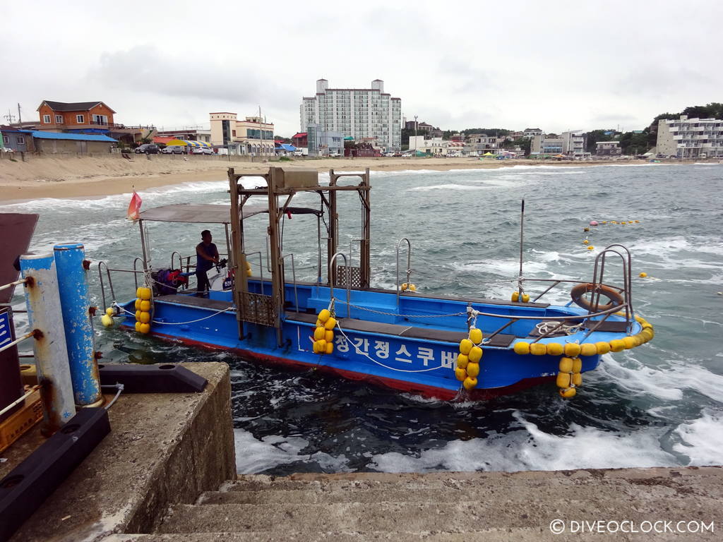 sokcho_scuba_diving_south_korea_diveoclock