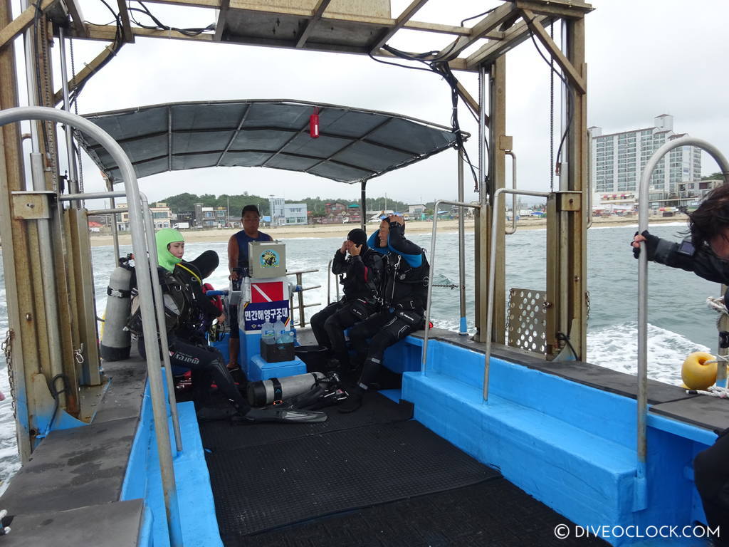 sokcho_scuba_diving_south_korea_diveoclock