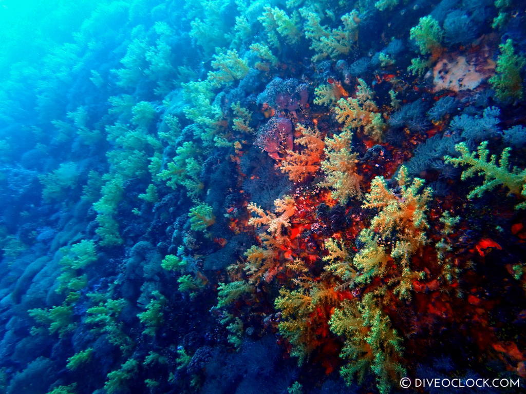 scuba diving green island taiwan lyudao