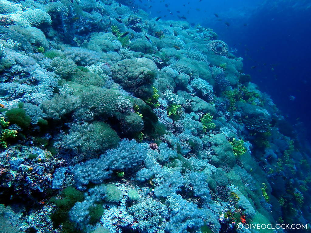 scuba diving green island taiwan lyudao