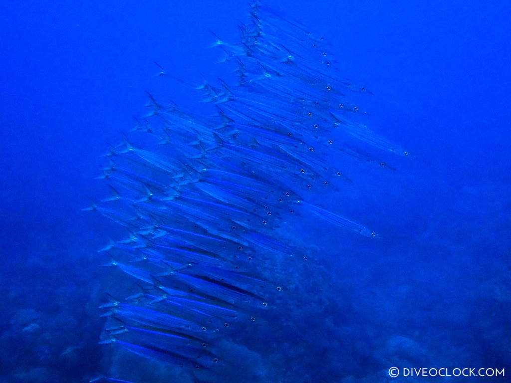 scuba diving green island taiwan lyudao